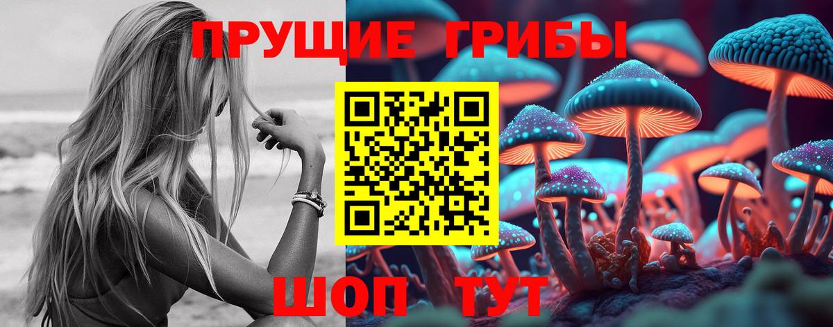 Псилоцибиновые грибы прущие грибы Кириши