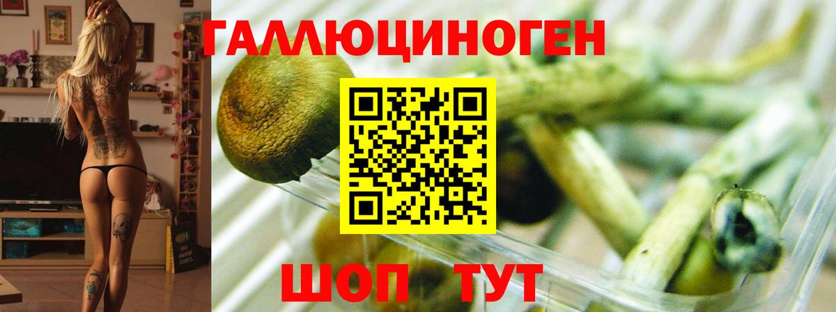 Галлюциногенные грибы MAGIC MUSHROOMS  Вход с VPN  Кириши  Галлюциногенные грибы Psilocybine cubensis 